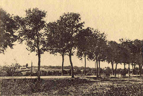 A view of the high road leading from the village ol Oppetlischken to that of Kraupischken (East Prussia), where a baltle was fough-on August 5/19th., 1914